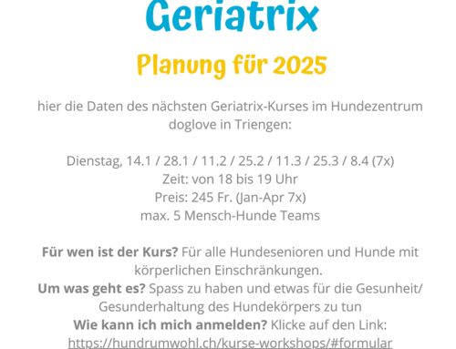 Im Januar 2025 startet wieder ein Geriatrix Kurs – noch 3 von 5 Plätzen frei… also nicht zu lange überlegen