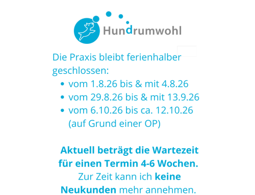 Ferienmeldung und Termine
