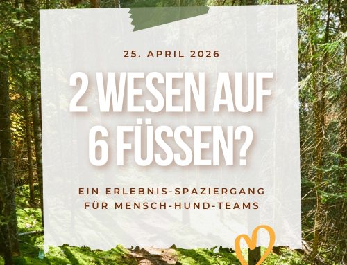 es gibt noch freie Plätze für den Erlebnis-Spaziergang